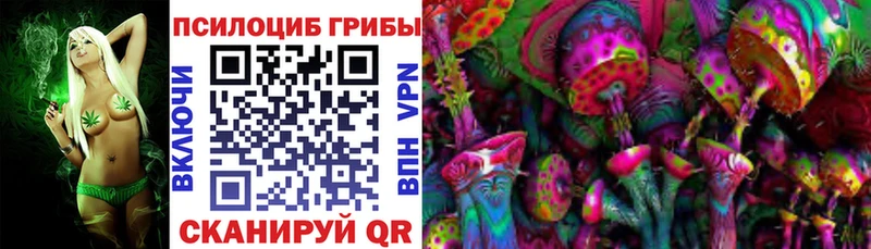 blacksprut маркетплейс  darknet клад  Псилоцибиновые грибы мухоморы  Пущино 